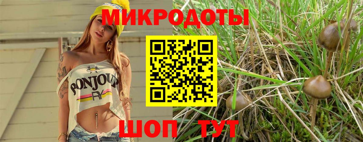 Уссурийск  Псилоцибиновые грибы GOLDEN TEACHER  Псилоцибиновые грибы Psilocybe  Вход с VPN 